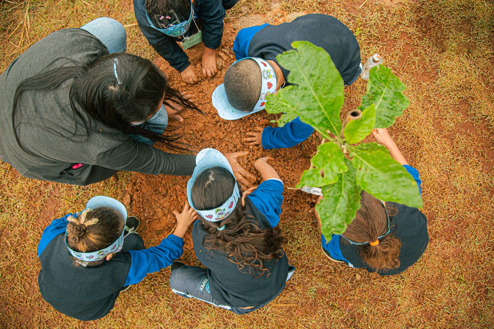 Itapevi realiza Semana de Educação Ambiental com ações de conscientização e preservação