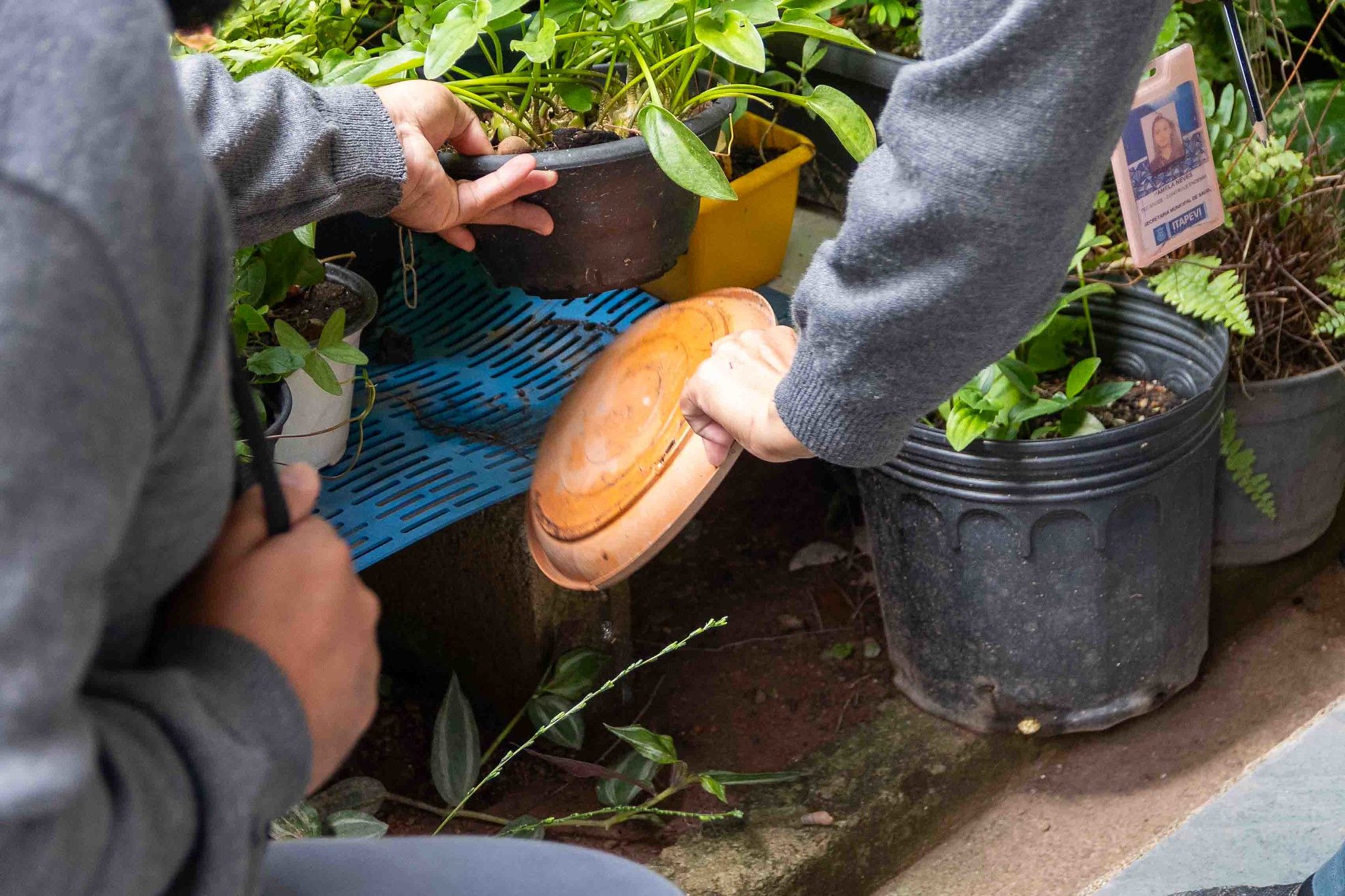 Itapevi realiza ações da Semana Estadual de Mobilização Contra a Dengue