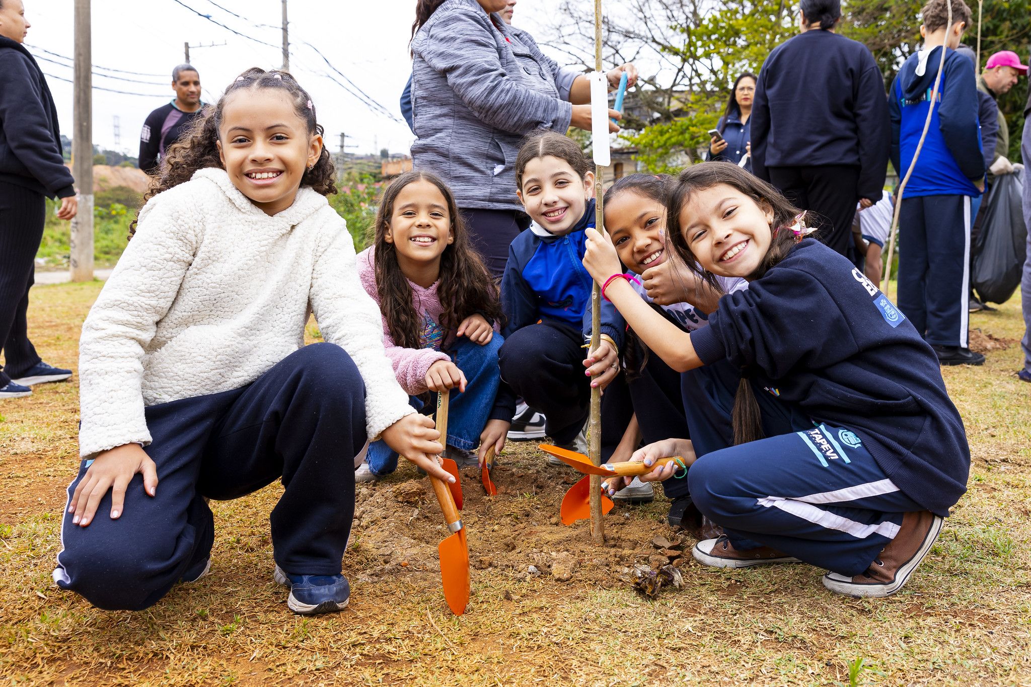 Prefeitura de Itapevi promove cronograma de plantio de árvores com ações de educação ambiental