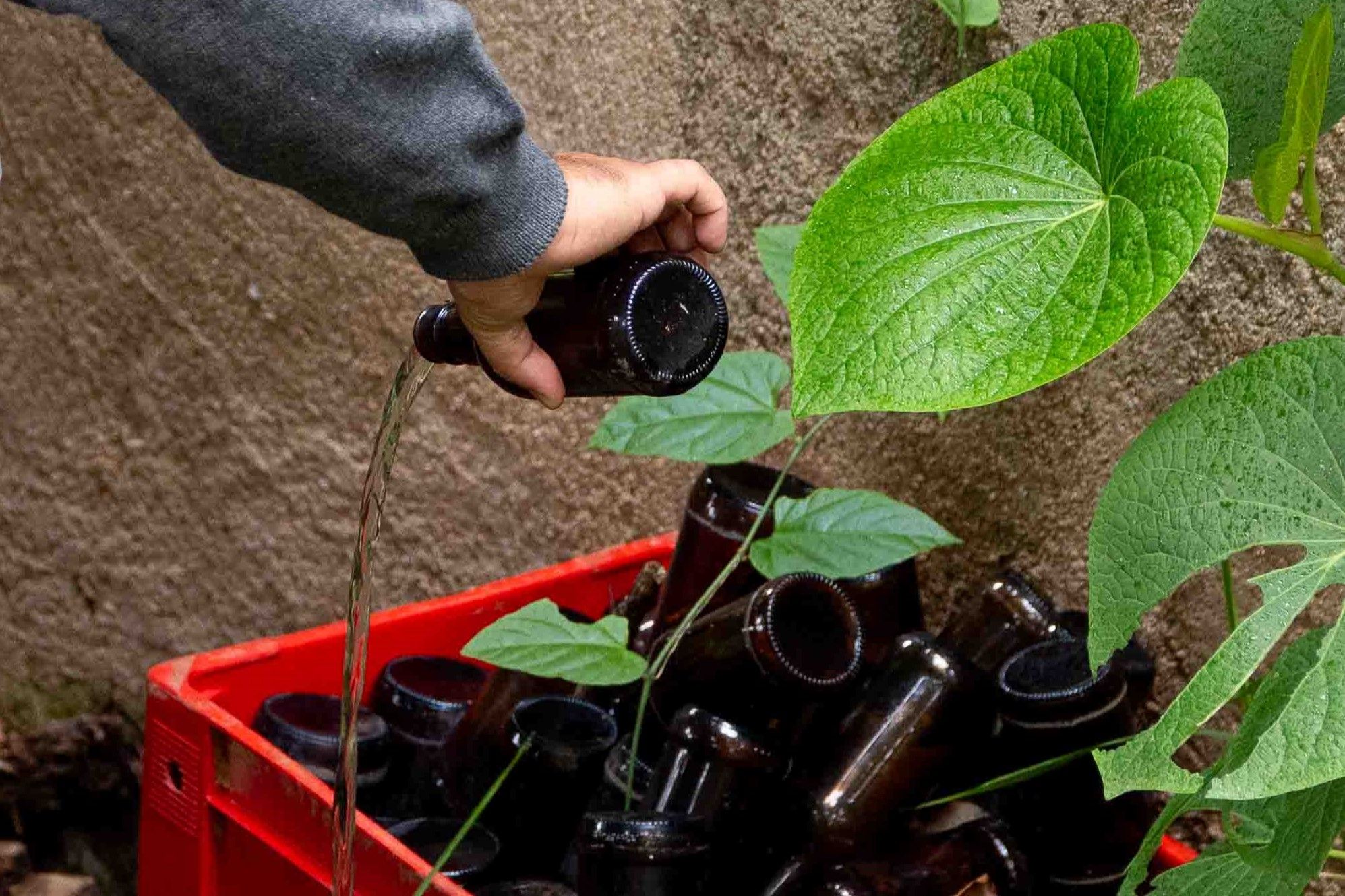 Prefeitura de Itapevi intensifica combate à dengue com mutirão na Cohab